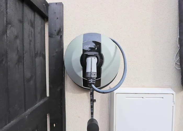 Broad Leaze 2 * 브리스틀